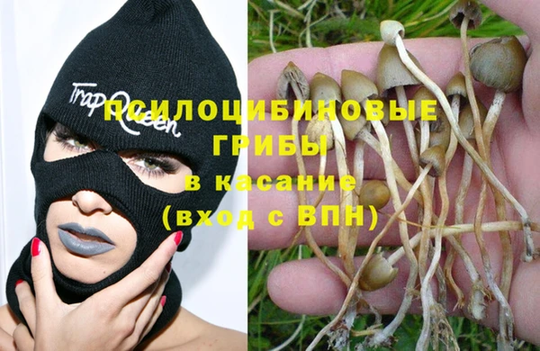 стаф Куйбышев
