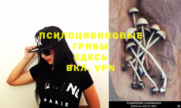MDMA Premium VHQ Кулебаки