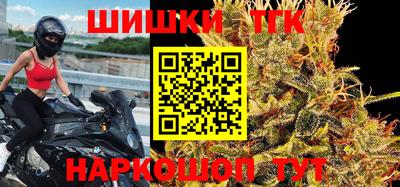 дмт Обь