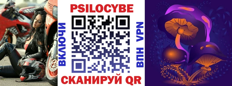 Псилоцибиновые грибы Psilocybine cubensis  Темрюк 
